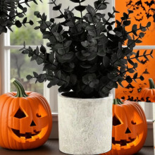 ���R�d����������Ժ�ɫ�ȼ����ٻ��Gֲ��A�����{������b����l