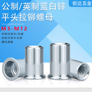 �{���\ƽ�^�Q�y���T��ĸ̼���ñ�F��\�T��ĸM3-M12