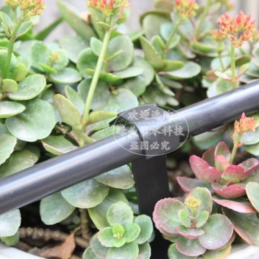 16 PE tubo de inserción 11 cm tubo de PE marco de soporte fijo microrroyector de riego por goteo accesorios de tubería de jardinería
