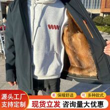 ɿ˷LqđƤݿɲжƤ˷ʿ