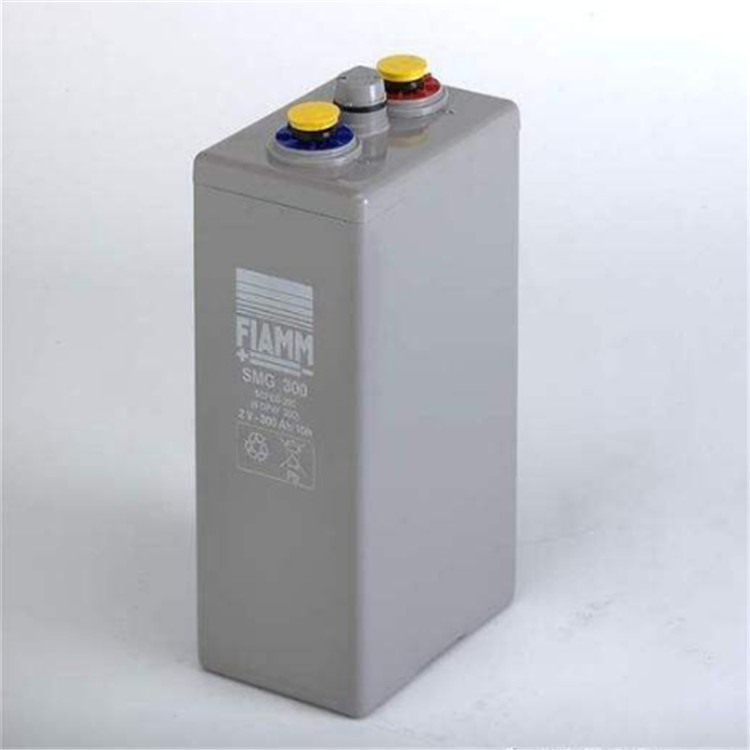 FIASA意大利非凡蓄电池2SLA100/G UPS电力控制系统蓄电池
