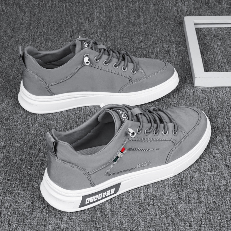 그레이 [메인사진]