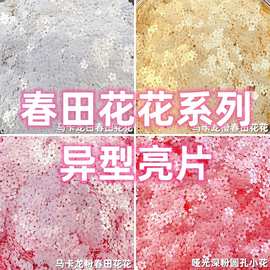 春田花花小花异型亮片流麻美甲亮片闪粉滴胶史莱姆金葱粉甲油胶