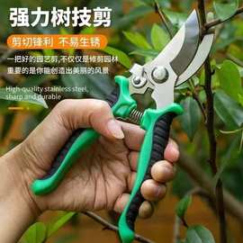 定制不锈钢树枝剪修枝剪园艺剪刀果园花艺专用摘果剪园林工具剪