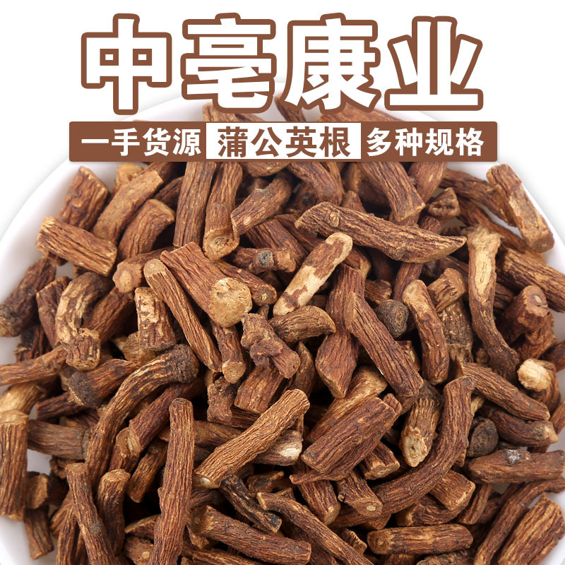 批发长白山蒲公英根茶新货蒲公英根散装500g花草茶蒲公英婆婆丁根