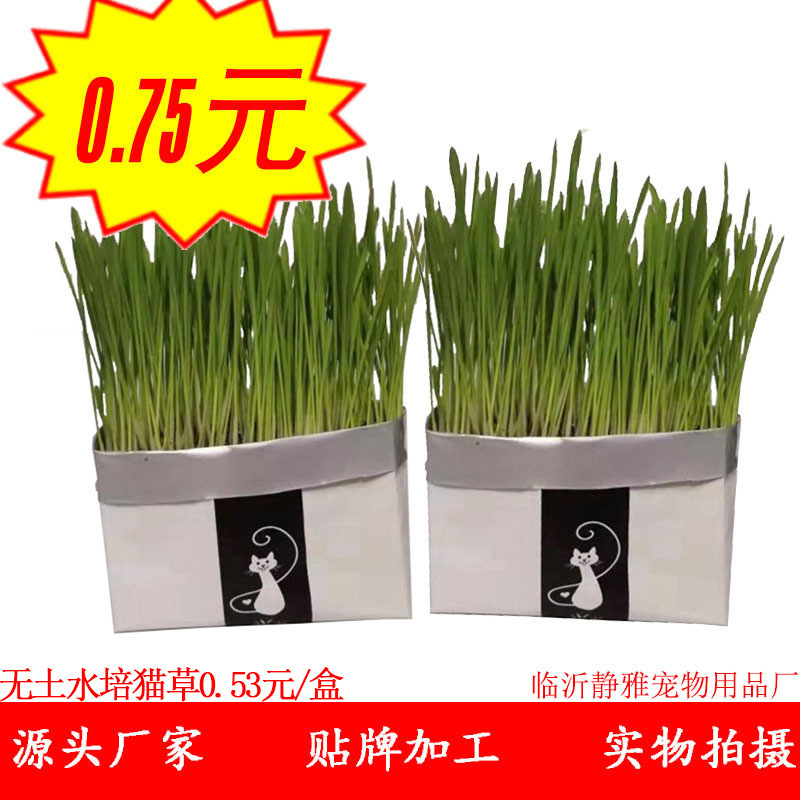 Tin Paper Lazy Cat Grass De-melting Hair Ball Pocket Cat Grass Set Nutrition Soil Barley Growing Cat Grass Cat Snacks