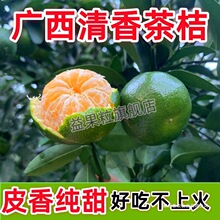 �V�������۽ۼ���������ٰ��������rˮ����Ƥ������������10��5