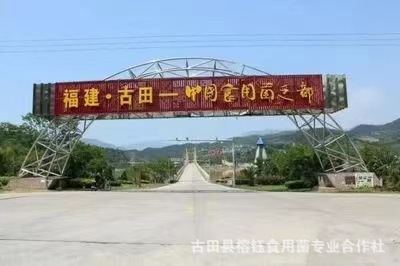 fc4bb8e7d2cf6013564acafcc1771d