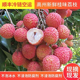 桂圆干;荔枝;干果生货