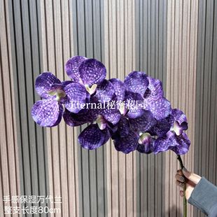 �����ָ��f���m�����m ��c�����滨�������ػ���Ʒ�|�Ҿ����l