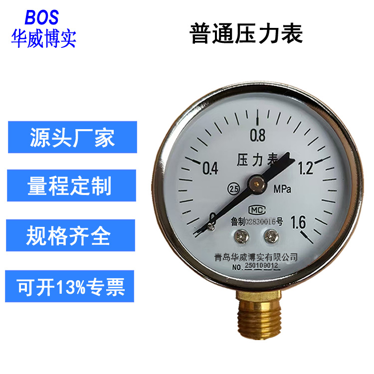 普通压力表Y-40 Y-50 Y-60 Y-100 Y-150 Y-200 Y-250青岛华威博实