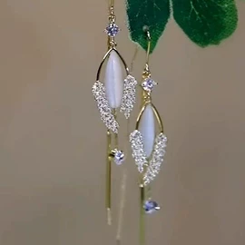 项链;耳环;耳线