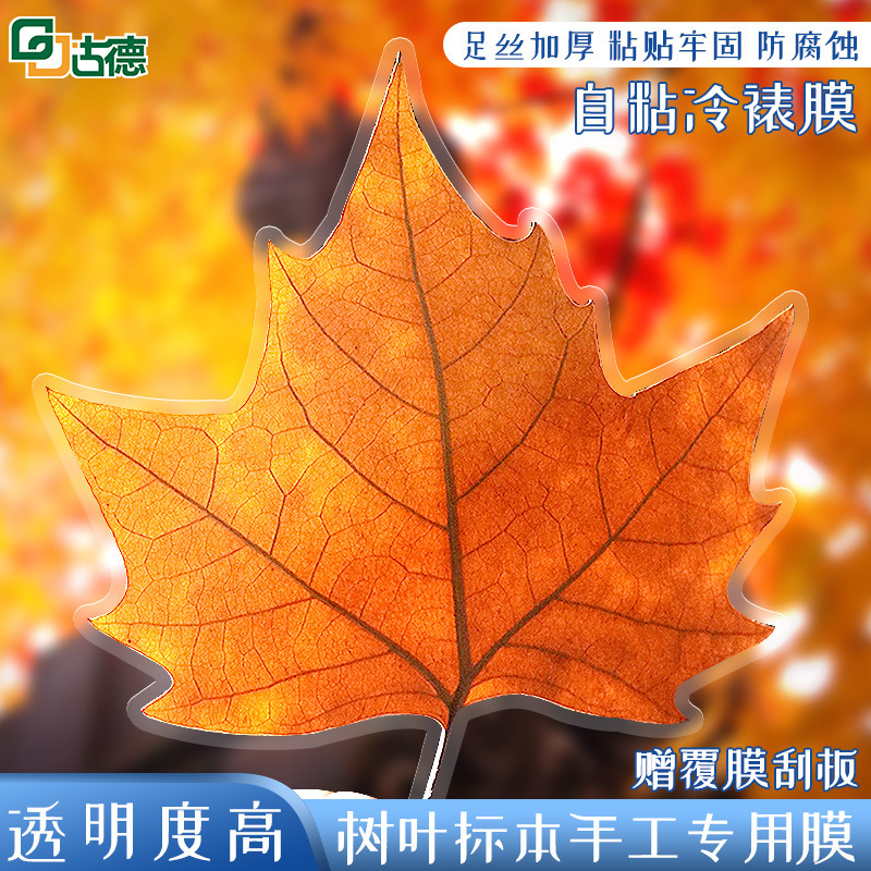 Goode Cold LAminAting Film Self-Adhesive PlAstic SeAling Film LAser A4/A 3.0/6inch HAndmAde BookmArk Production Fine Glitter GypsophilA Specimen