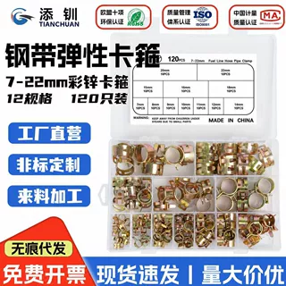 12规格跨境7-22mm盒装120Pcs钢带卡箍弹簧软管夹喉箍铁皮卡子快装