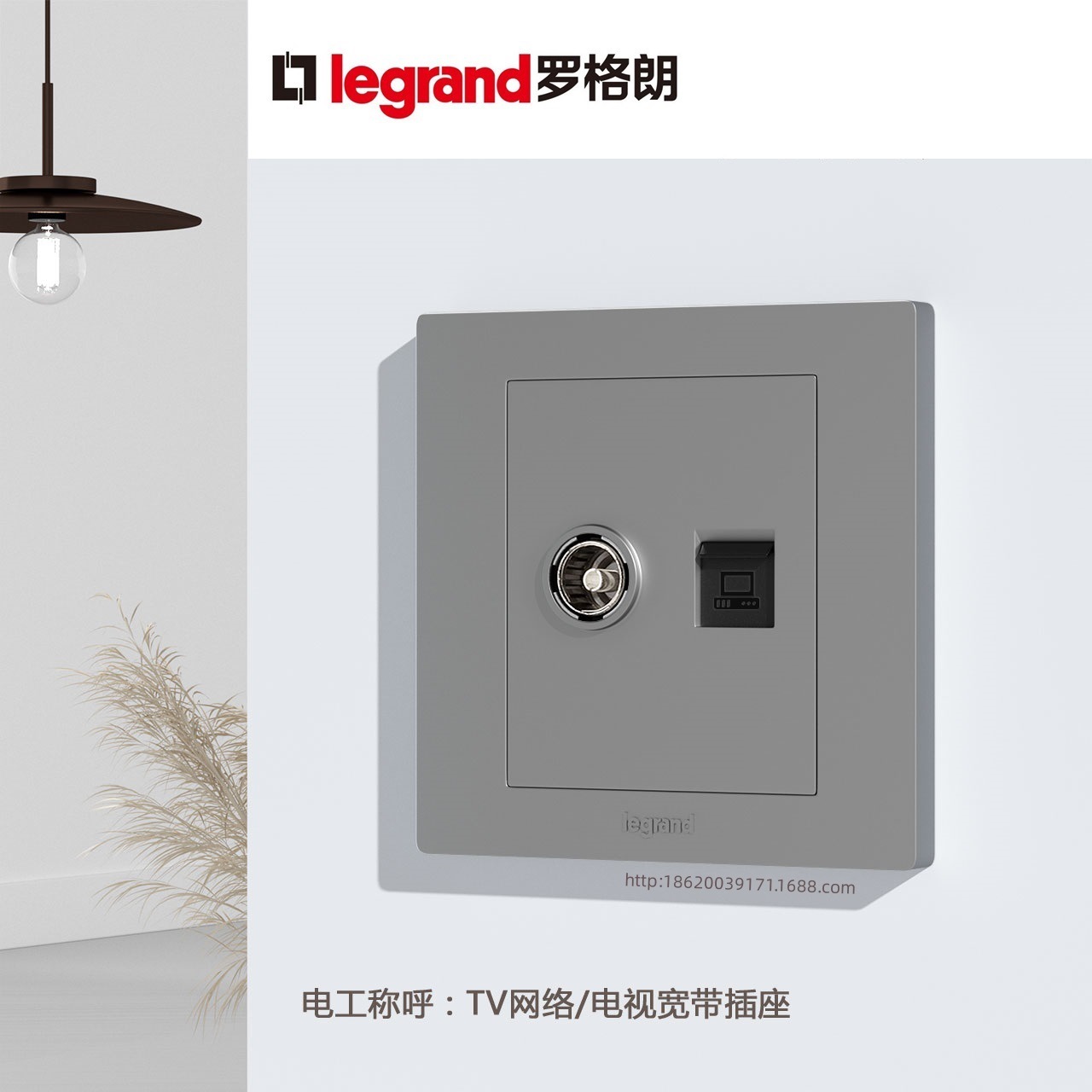 Legrand/罗格朗 博蕴 电视+电脑（超五类）插_深砂银 ESC01/TV-C3