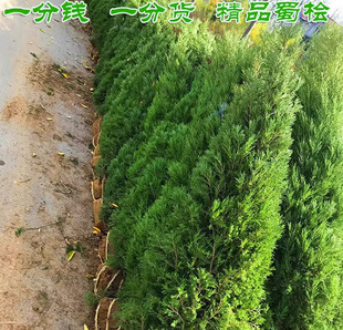 һ�����l��K���ɘ���Ĺ���ɘ��ļ��������ؘ������ؘ��繫·����
