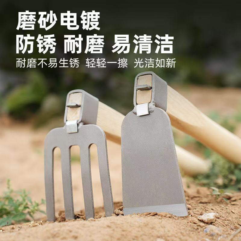 微信图片_202504231419404.jpg