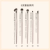 Golden brush, 5 pieces