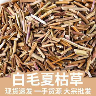 ���l�F؛�Ŀݲ� ��ë�Ŀݲ� ��ǲ�ɢѪ�ݿ���ļ����ݴ�؛����