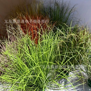 Simulation Decoration Tournament Grass Pile Dog Dog Reed Landscape Plant Scene Shooting Green Plant Soft Dress Design Products