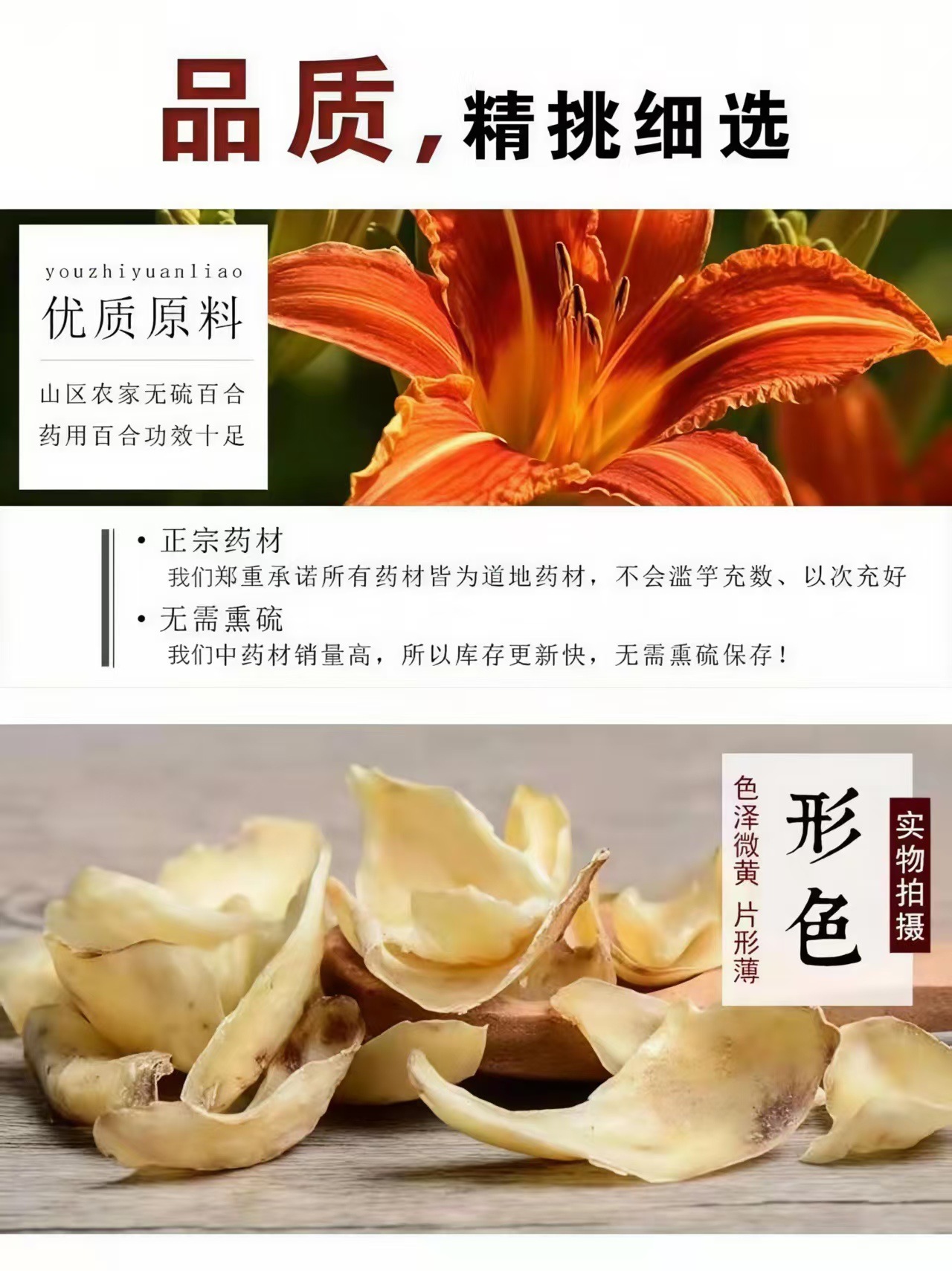 Dried Lily Bulb (Lilium brownii) Longya Variety — Hunan Food Herb for Soup & Tea key features