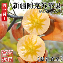 �����½������K�������O��10���rˮ���Y�Ю��������ٷ���Ş����