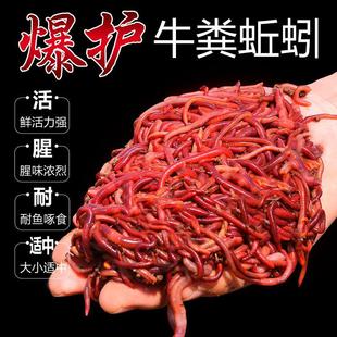 �����D�r��t�x����~�D���a�~���~Ұឺڿ��~�ϴ�C���~ʳͨ��