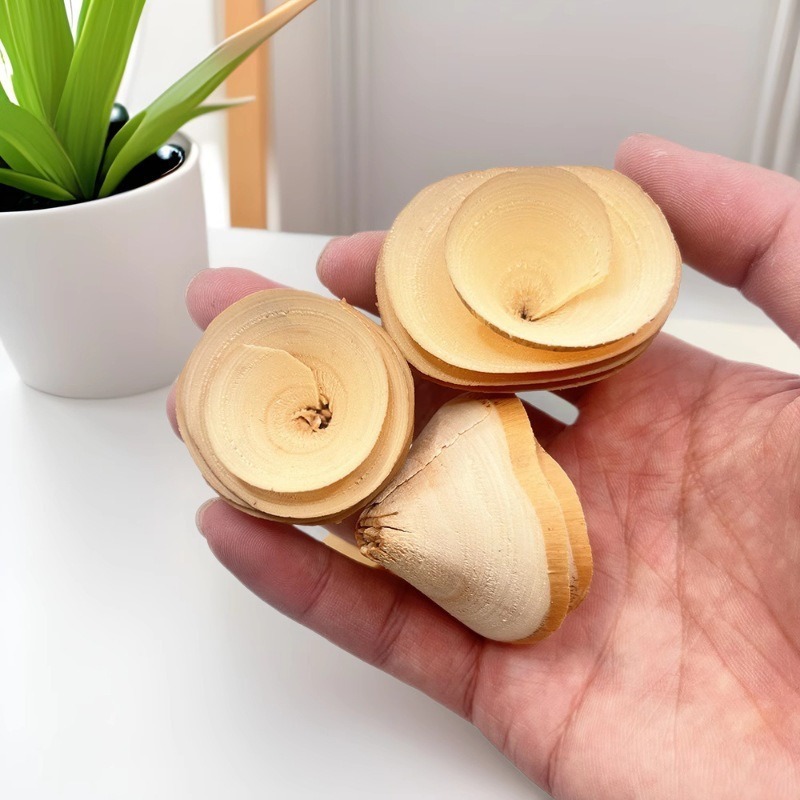 Juguetes para mascotas pequeños, rollos de madera natural hechos a mano, hámsters, juguetes molares, juguetes de entrenamiento de loro, productos de paisajismo para mascotas pequeñas