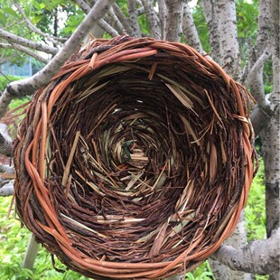 �C��������B�C���F�B�������B�C�ֹ�����ݸC�˸��̖��