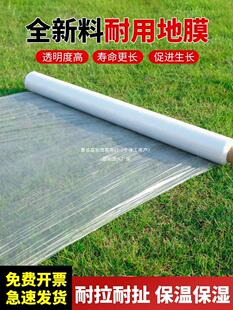 ��֪��ɫ��Ĥ�r�ñ��ر���׵�Ĥ�������ϱ�Ĥ�߲˷N���^����ɫ��