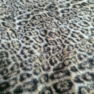 ����ëӡ���y�_���� ѩ���ߵ�ë ��Ƥ�����q ���b���Ьñ����