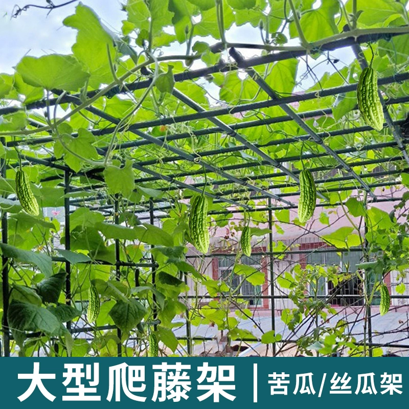 Горькая тыква стойка виноградная полка тыква восхождение виноградная стойка киви виноградная стойка люфа маракуйя двор наружная кронштейн буксировка