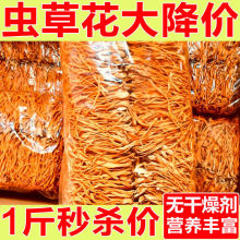 新鲜虫草花干货农家特产冬虫草菇虫草煲汤孢子头食用商用
