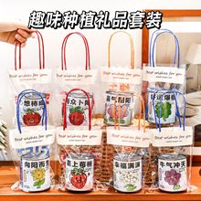 创意礼品套装手提种植小盆栽桌面绿植盲盒幼儿园礼物学生小礼品