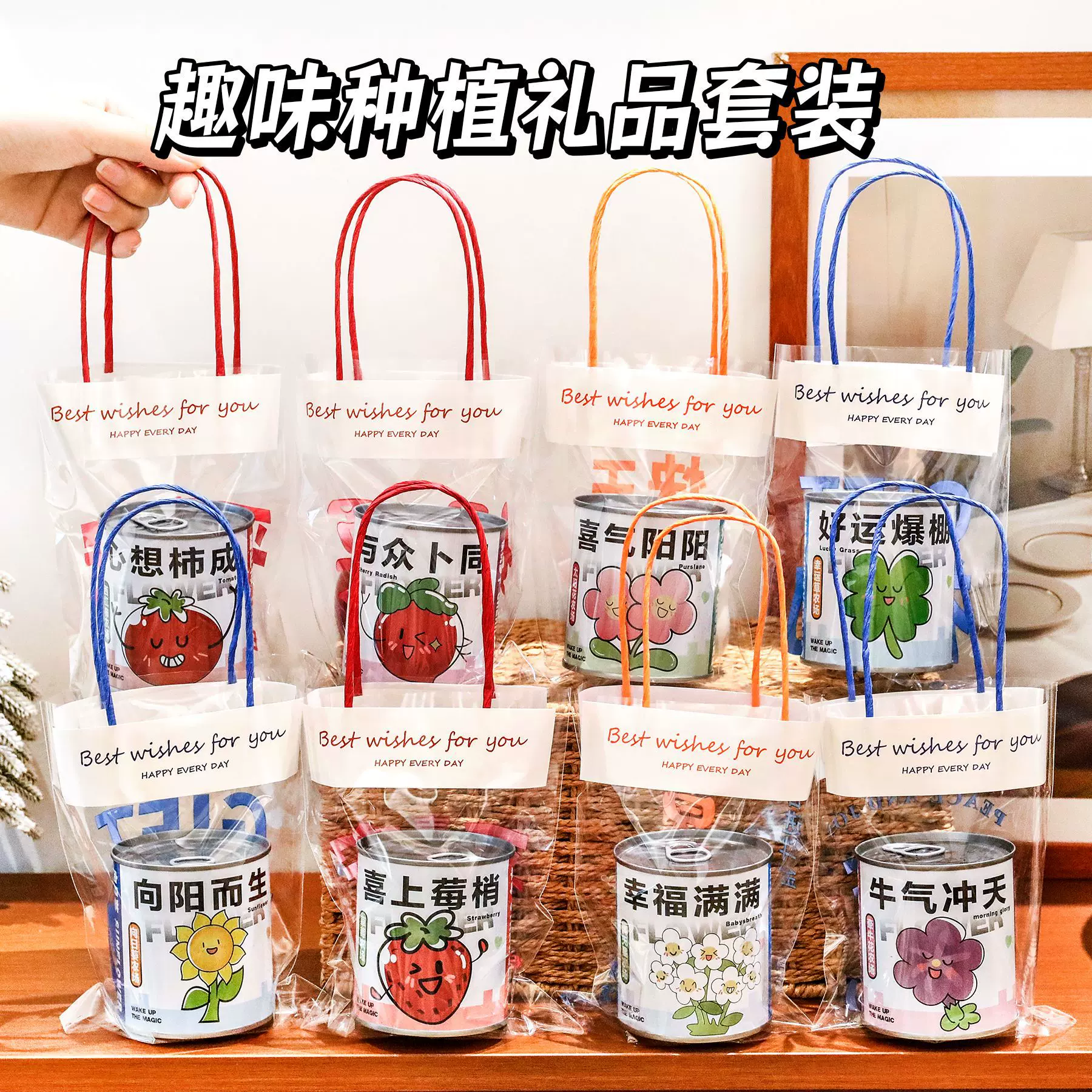 创意礼品套装手提种植小盆栽桌面绿植盲盒幼儿园礼物学生小礼品