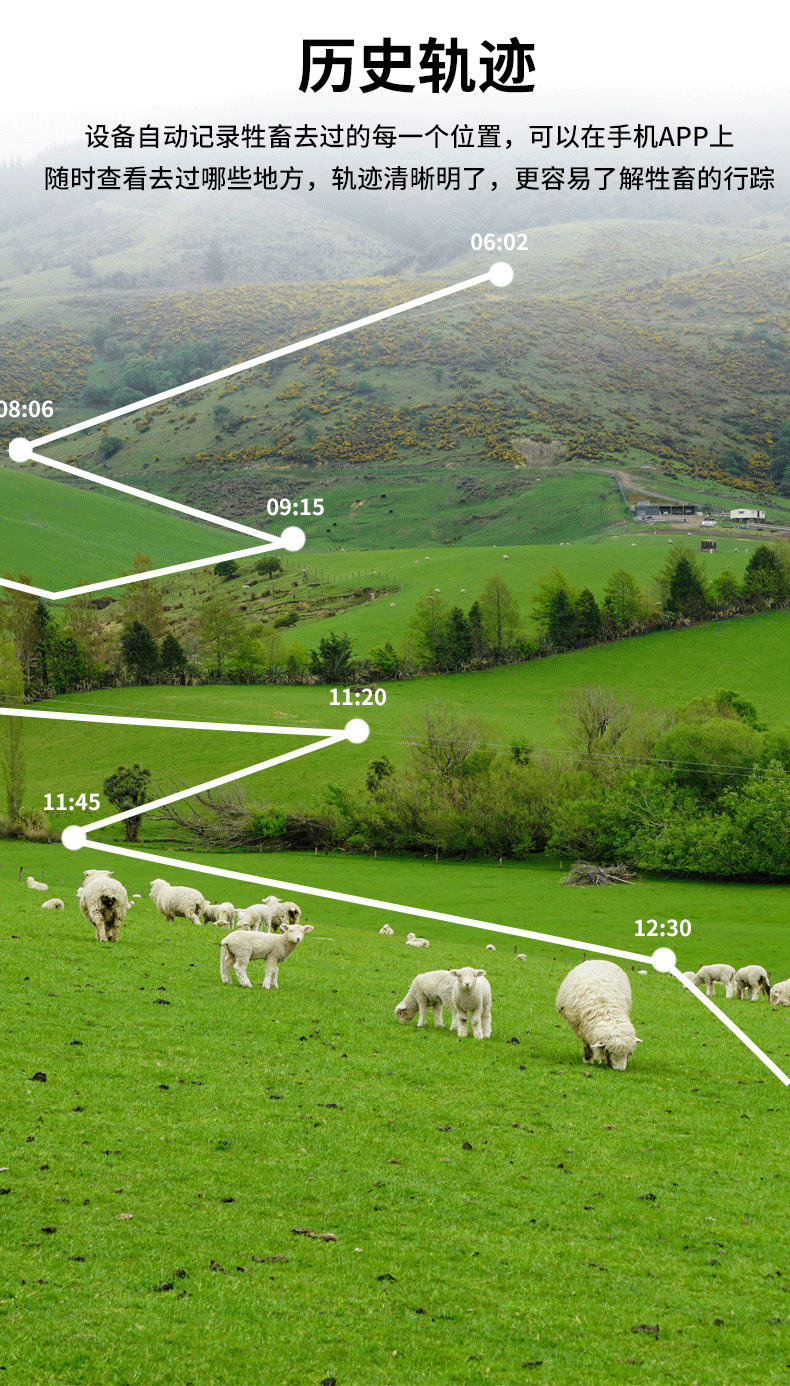 Solar-Powered 4g Beidou Gps Tracker for Cattle and Sheep, a Tracking Device for Mountainous Areas and Grasslands, with Track Playback