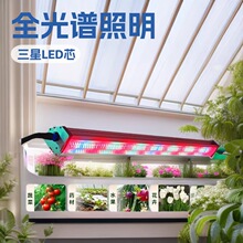 �羳��������ֲ�������ƹϹ��߲�ȫ����120w150wLEDֲ�ﲹ���