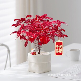 �����������ͺ��t�~�Gֲ�������͏d����U���辰�����՚��^�~ֲ��