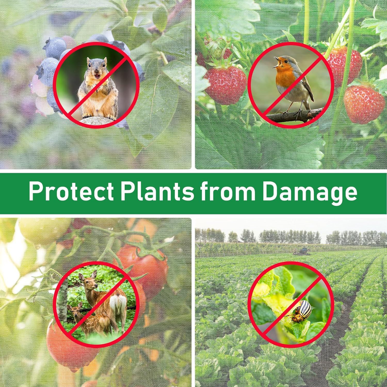 81uY2PP8KsL._AC_SL1500_