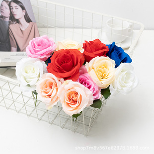 ����õ�廨������֧õ�岨�������˹��Y���c�bzӰ�������l