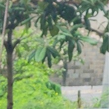 ٛƷ  �۽zͤ  ����Ȫ  �Ř�