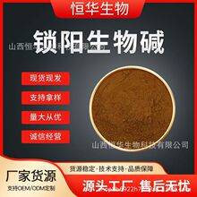 锁阳生物碱 锁阳提取物 1kg/袋 食品级原料 恒华生物 现货包邮