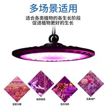 �S��ֱ�NUFO�w��ֲ�����L�� LEDȫ���V�҃�ֲ����⻨���a���