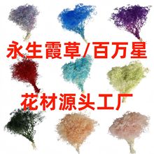 永生花百万星小满天星批发装饰花束diy瑕草霞草香薰材料干花批发
