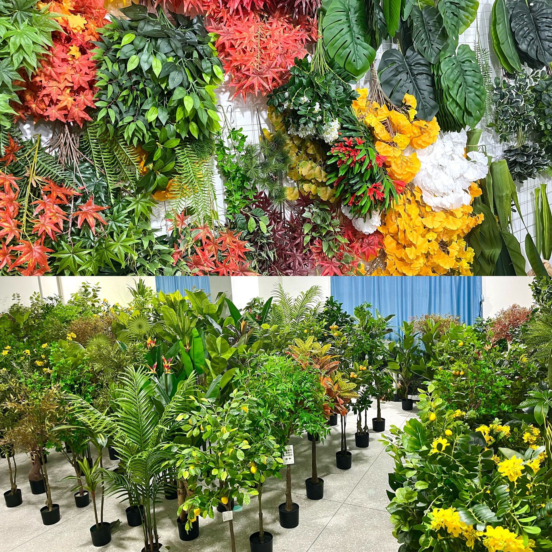 微信图片_202211191249152