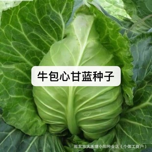 ţ���ĸ��{�N�Ӱ��˾��Ĳ��͟��ͺ������ļ��߲˰��Ĳ�
