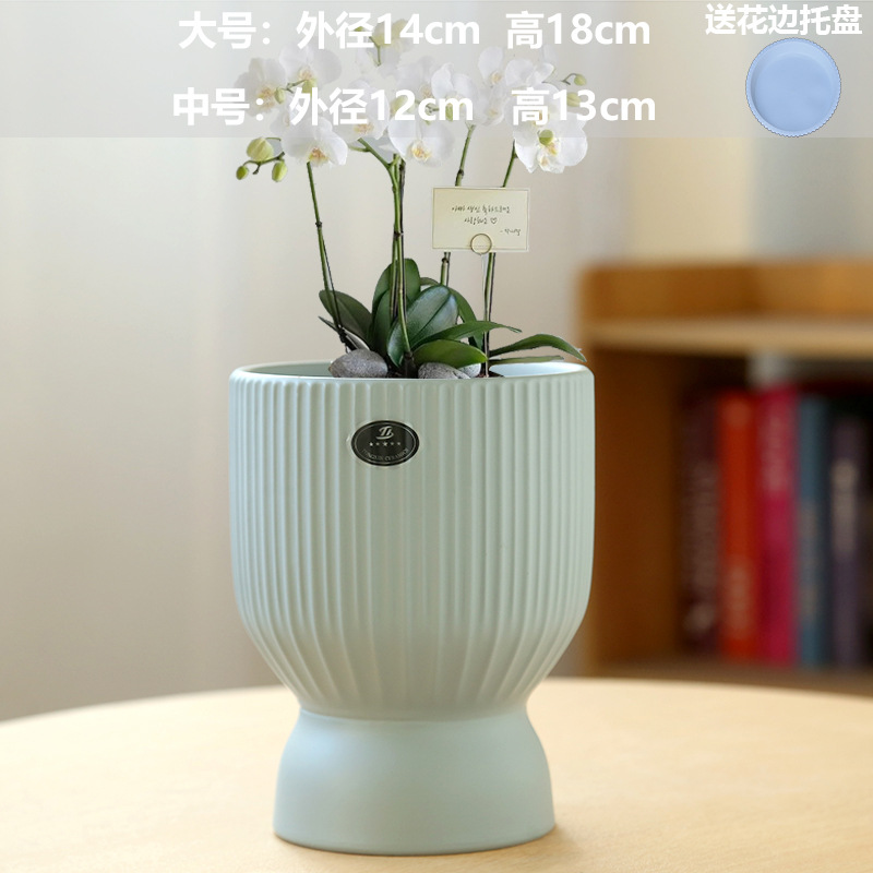 Holy Cup Asian shallow Military Academy blue (with tray)