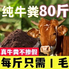 批发纯牛生物有机肥腐熟发酵牛粪厂家一件代发牛粪有机肥改善土