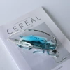 Blue silver beetle 18*7.5*5CM