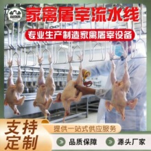 支持定制材质过硬山东家禽屠宰设备脱毛分割一体化屠宰流水线设备